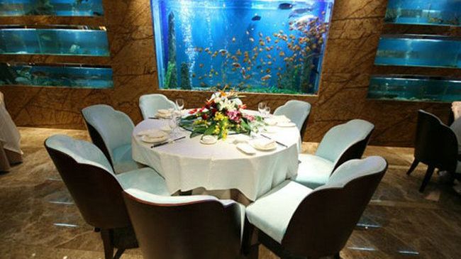Four Seasons Rayli Hotel Ningbo Restauracja zdjęcie